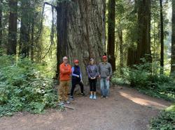 Crew: Grove of redwoods in Redwoods National and State Park